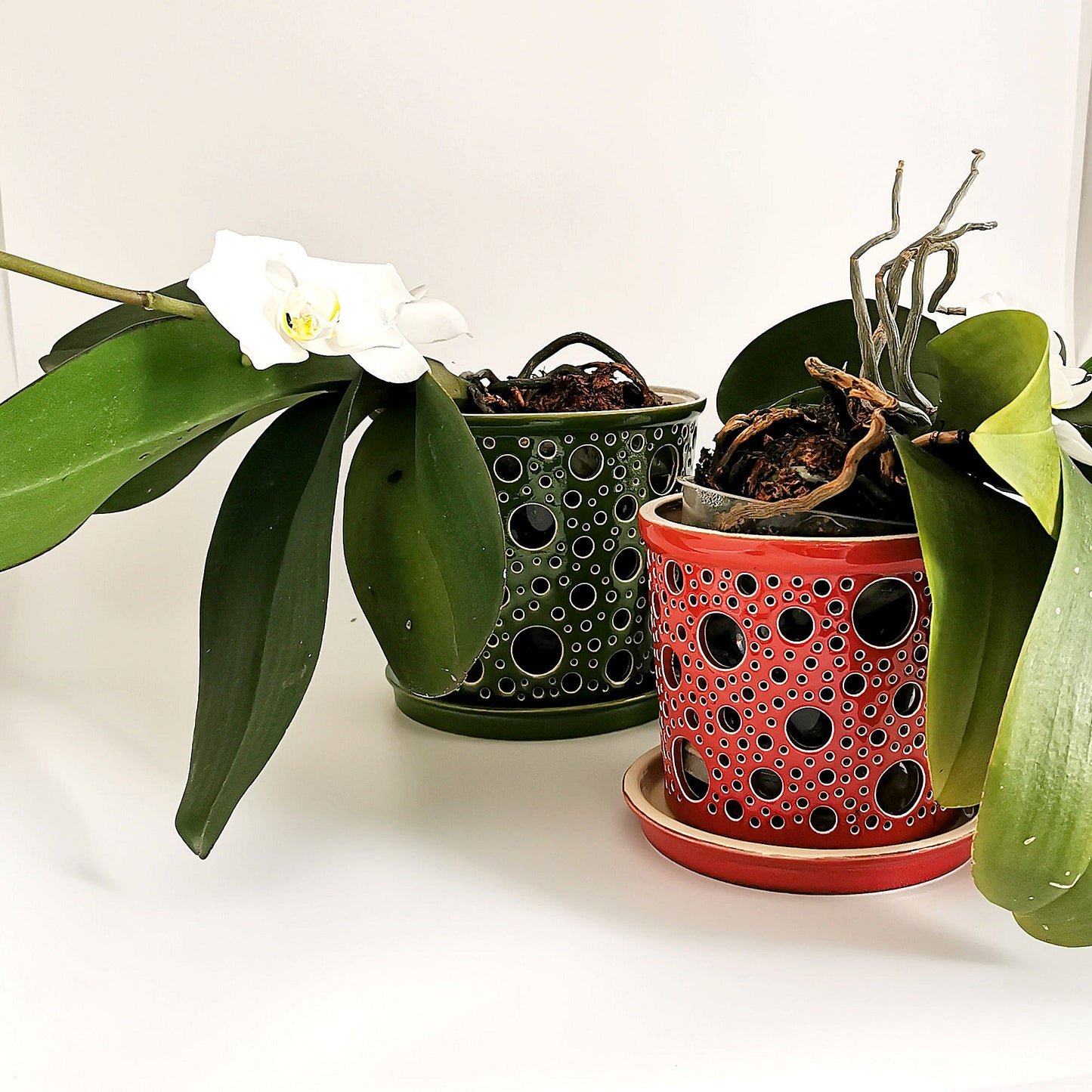 Vazonai orchidėjoms